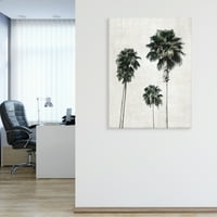 Skice Book Palm by Natalie Carpentieri Canvas Art Print