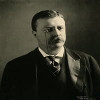 Theodore Roosevelt u povijesti