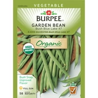 Burpee-grah, paket sjemena plavog jezera u grmlju