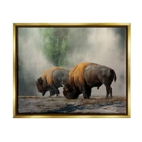 Dvojac bizona Amboes pase u magli priroda životinje i insekti Slikarstvo Zlatni plovak uokvireni umjetnički tisak
