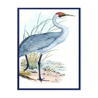 Drevne australske ptice v uokvirene slikarske platnene umjetnički tisak