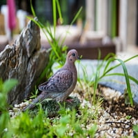 Tugujući golubicu na kipu travnatog vrta