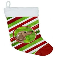 Božićne snježne pahulje Božićna čarapa Crvenog jazavčara