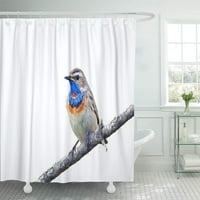 Bež kljun, prekrasna plavooka, šareno perje ptice-ovo je dekor kupaonice, zavjesa za tuširanje