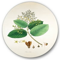 Dizajnerska umjetnost drevne botaničke biljke u Mumbaiju Seoska kuća u Mumbaiju - disk od 11