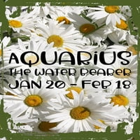 Daisy cvjetni zid umjetnost Vodena Vodenjak dovodnik vode 20. veljače Zodiac Znak astrologija Tin zidni dekor