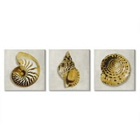 Zlatne spiralne školjke s zamršenim uzorcima, dizajn Caroline Kellie, komad, 17 17