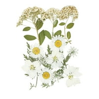 Moocorvic Prirodno sušeno cvijeće kombinacija DIY suhi cvijet ukrasni za zanatske nakit