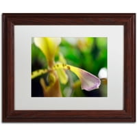 Zaštitni znak likovna umjetnost Dodirnite orhideje platno umjetnost Kurta Shaffera, bijela mat, drveni okvir