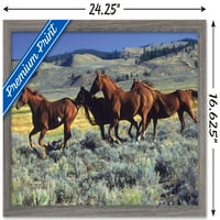 Životinje-konji koji trče po ravninama Zidni plakat, 14.725 22.375