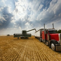 Tvrtka A. M. po mjeri čisti polje pšenice, u blizini Rae; Sjeverna Dakota, Sjedinjene Američke Države tiskanje