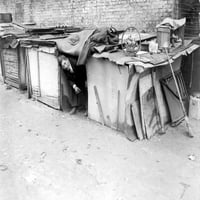 Nezaposleni Muškarac Koji Živi U Kolibi Izgrađenoj Od Kutija Za Pakiranje I Drva U Njujorškoj Povijesti